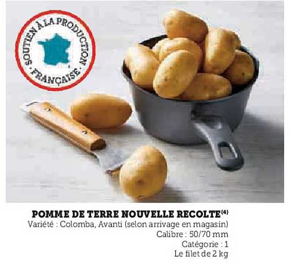 POMME DE TERRE NOUVELLE RECOLTE