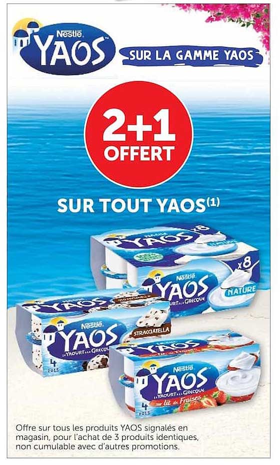 2+1 OFFERT SUR TOUT YAOS(1)