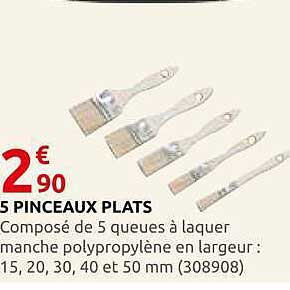 5 PINCEAUX PLATS