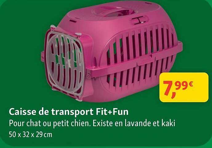 Caisse de transport Fit+Fun