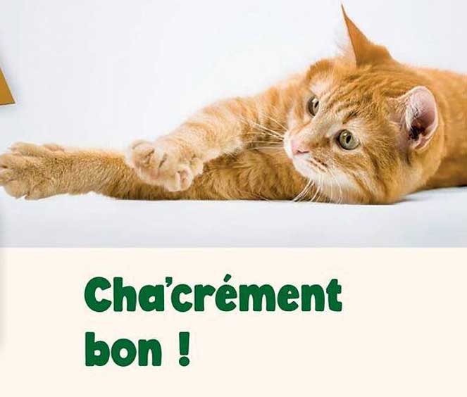 Cha'créément bon !