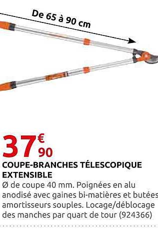 COUPE-BRANCHES TÉLESCOPIQUE EXTENSIBLE