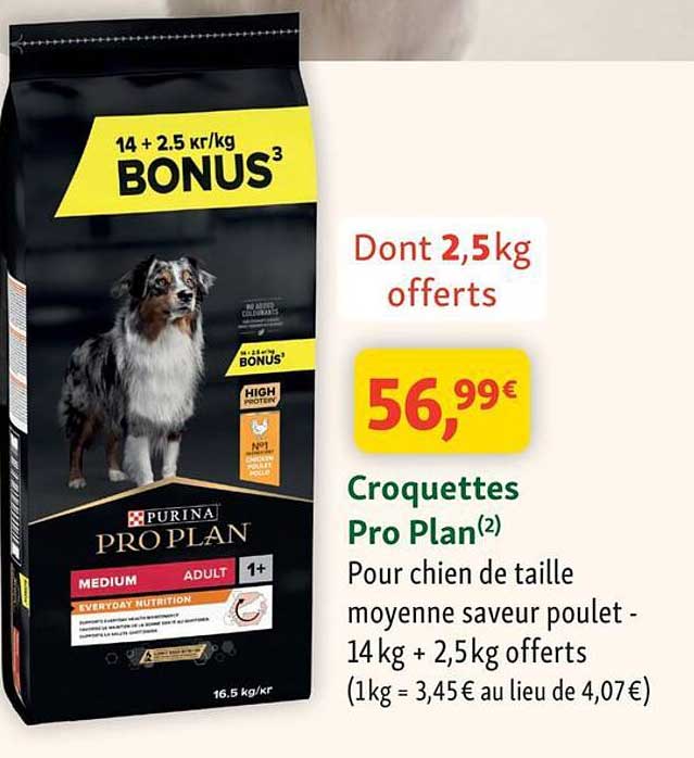 Croquettes Pro Plan