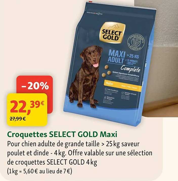 Croquettes SELECT GOLD Maxi