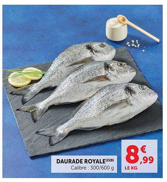 DAURADE ROYALE