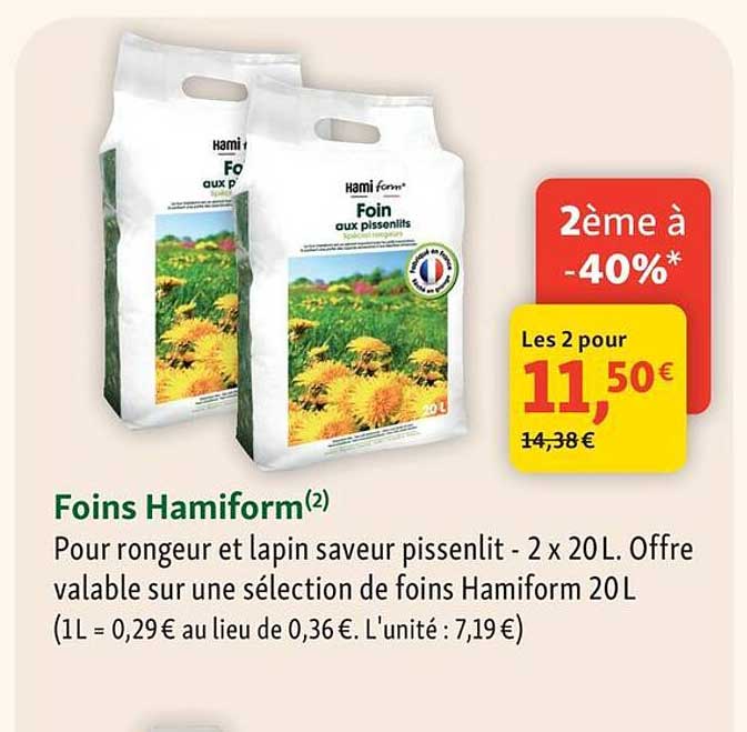 Foins Hamiform