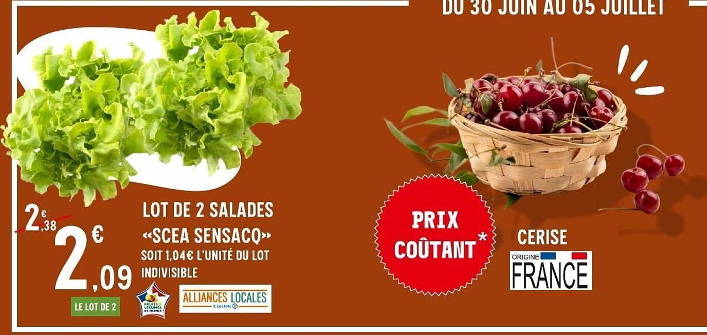 LOT DE 2 SALADES «SCEA SENSACQ»