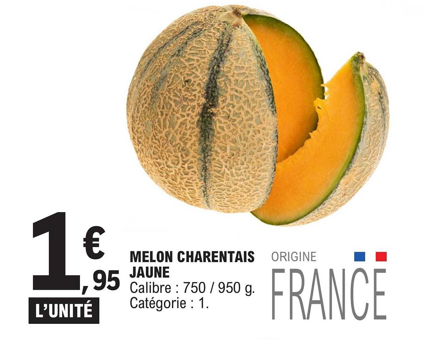 MELON CHARENTAIS JAUNE