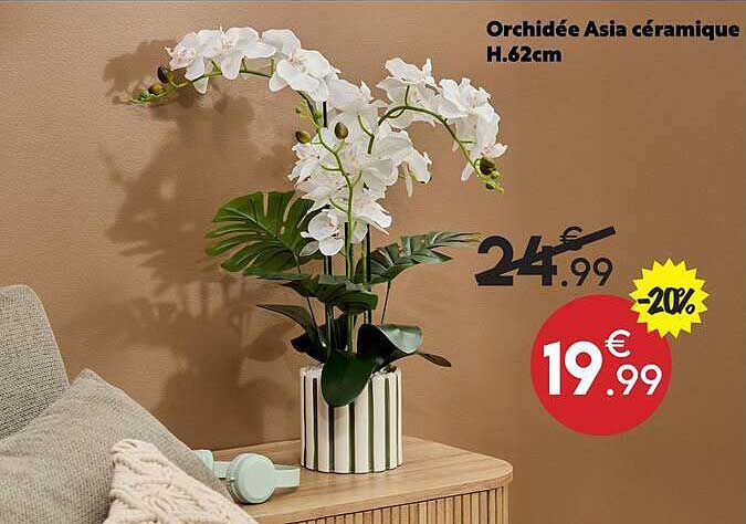 Orchidée Asia céramique H.62cm