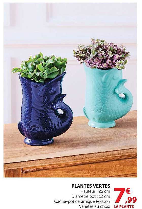 PLANTES VERTES