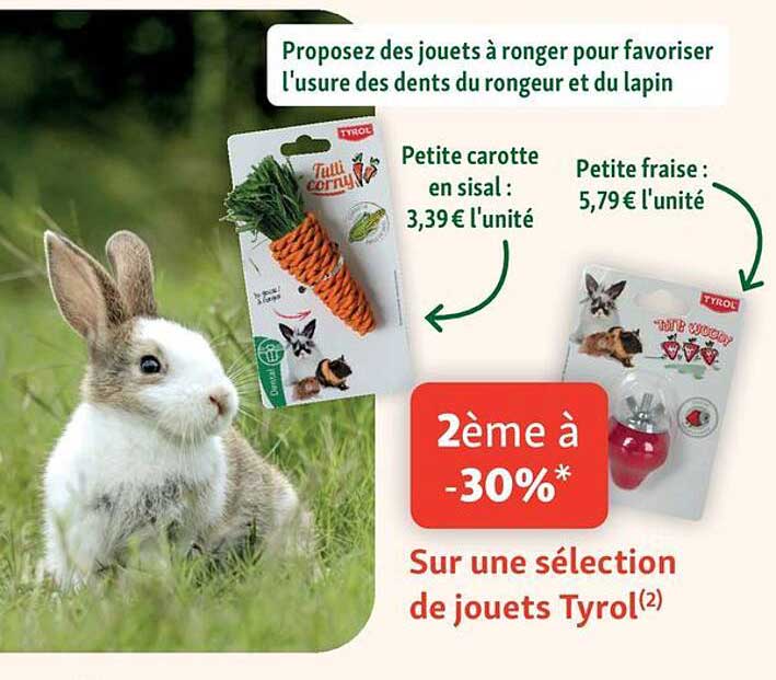 Proposez des jouets à ronger pour favoriser l'usure des dents du rongeur et du lapin