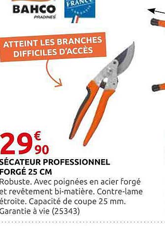SÉCATEUR PROFESSIONNEL FORGÉ 25 CM