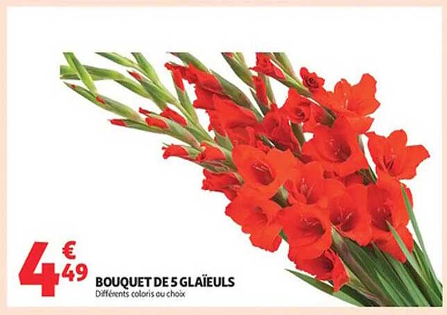 BOUQUET DE 5 GLAÏEULS