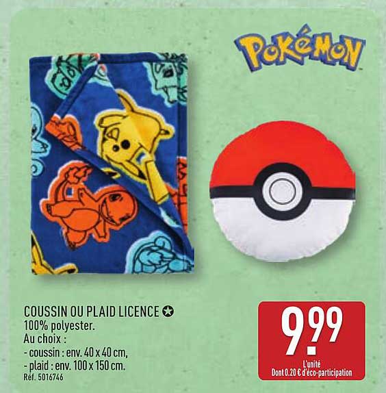 COUSSIN OU PLAID LICENCE