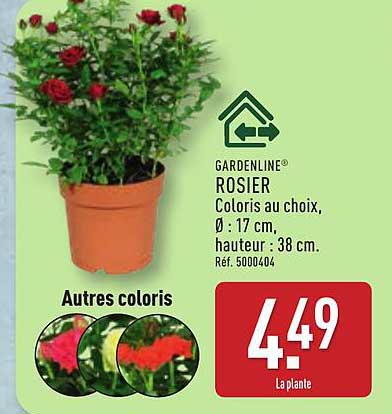 GARDENLINE® ROSIER Coloris au choix, Ø : 17 cm, hauteur : 38 cm.