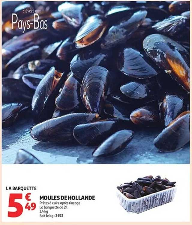 MOULES DE HOLLANDE