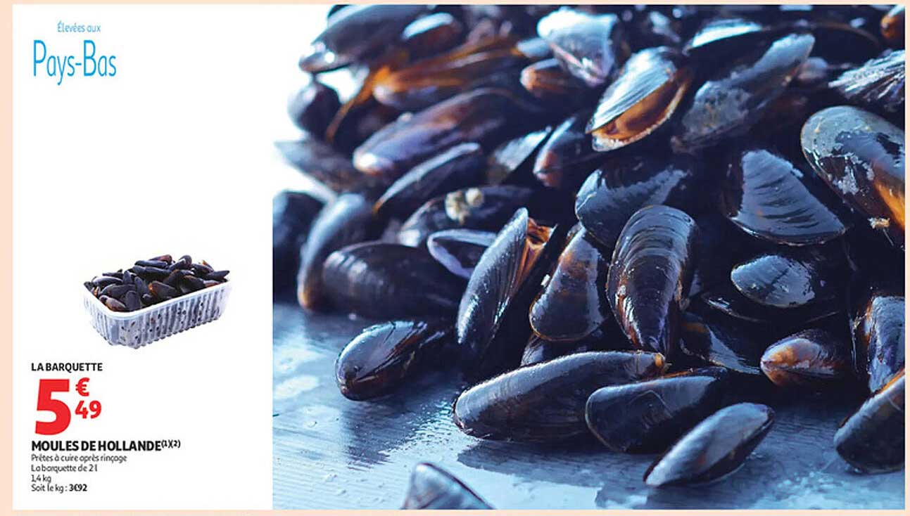 MOULES DE HOLLANDE (X2)
