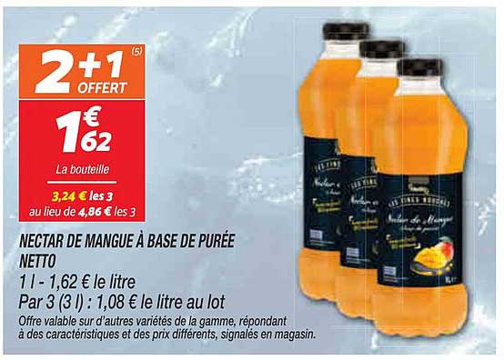 NECTAR DE MANGUE À BASE DE PURÉE NETTO