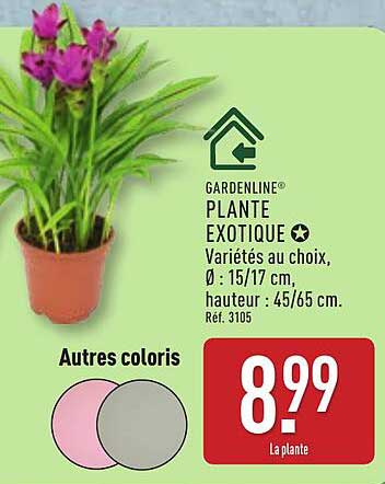 PLANTE EXOTIQUE