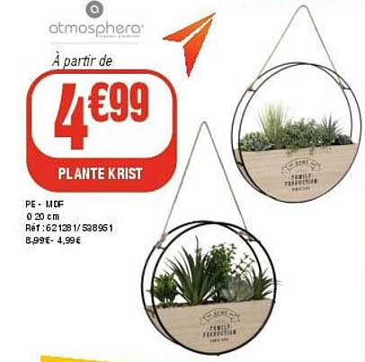 PLANTE KRIST