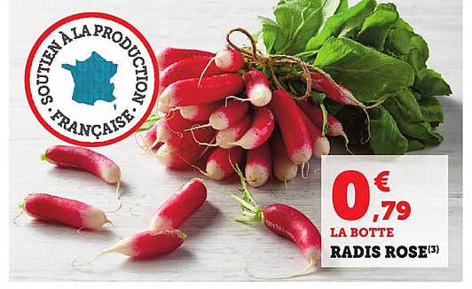 RADIS ROSE