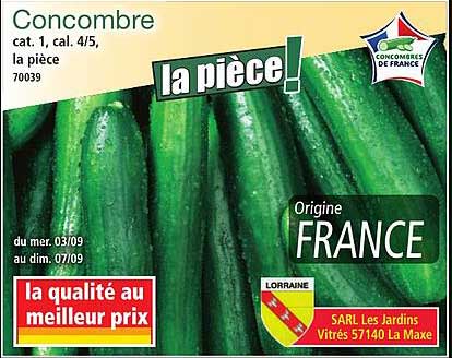 Concombre