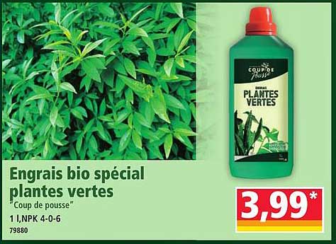 Engrais bio spécial plantes vertes "Coup de pousse"