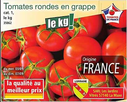 Tomates rondes en grappes