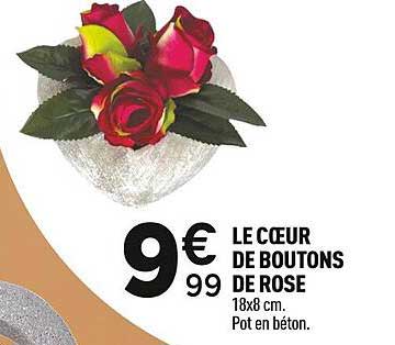 LE CŒUR DE BOUTONS DE ROSE