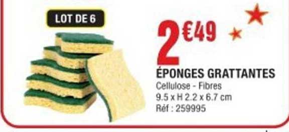 ÉPONGES GRATTANTES