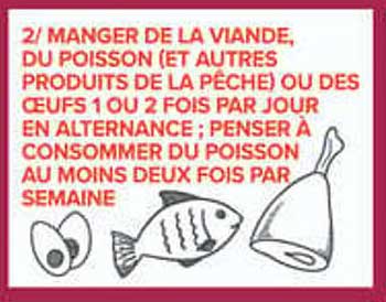 2/ MANGER DE LA VIANDE, DU POISSON (ET AUTRES PRODUITS DE LA PÊCHE) OU DES OEUFS 1 OU 2 FOIS PAR JOUR EN ALTERNANCE ; PENSER À CONSOMMER DU POISSON AU MOINS DEUX FOIS PAR SEMAINE