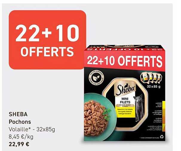 22+10 OFFERTS