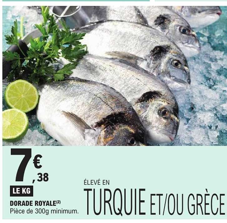 DORADE ROYALE(2)
