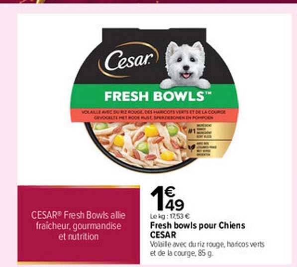 Fresh bowls pour Chiens CESAR