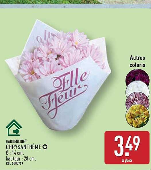 GARDENLINE® CHRYSANTHÈME
