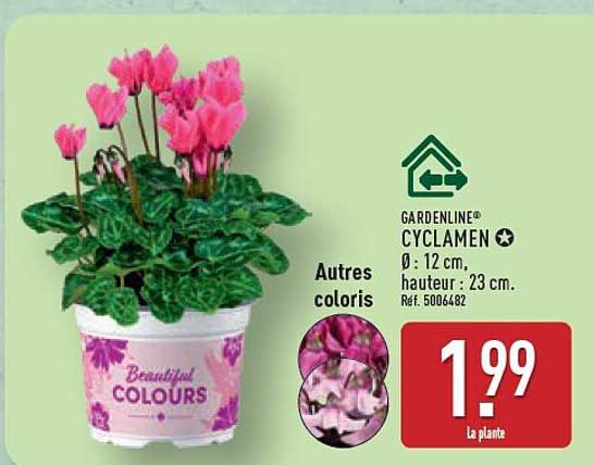 GARDENLINE® CYCLAMEN