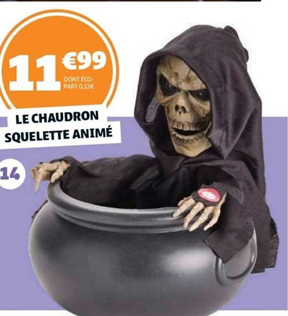 LE CHAUDRON SQUELETTE ANIMÉ