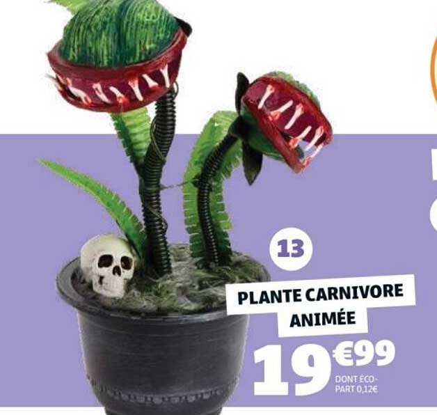 PLANTE CARNIVORE ANIMÉE