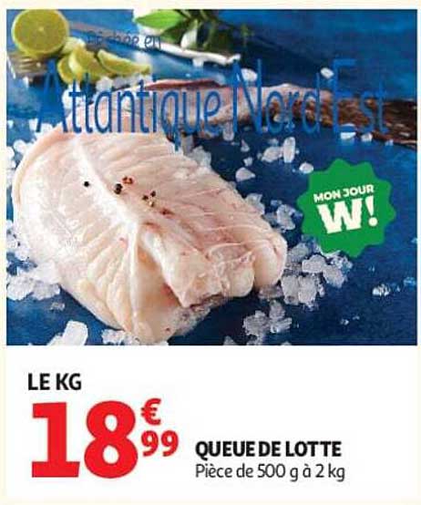 QUEUE DE LOTTE