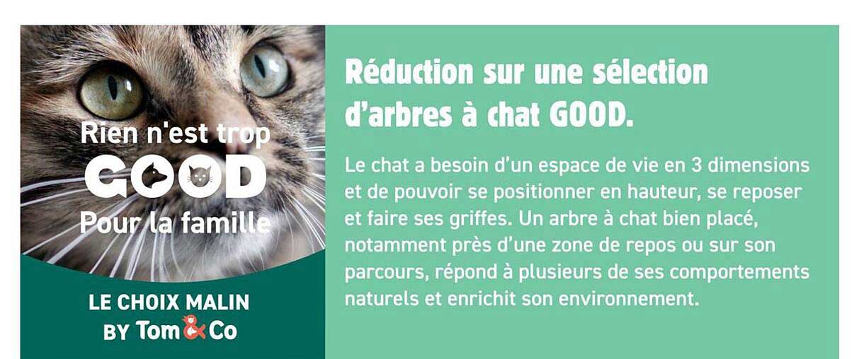 Réduction sur une sélection d'arbres à chat GOOD.
