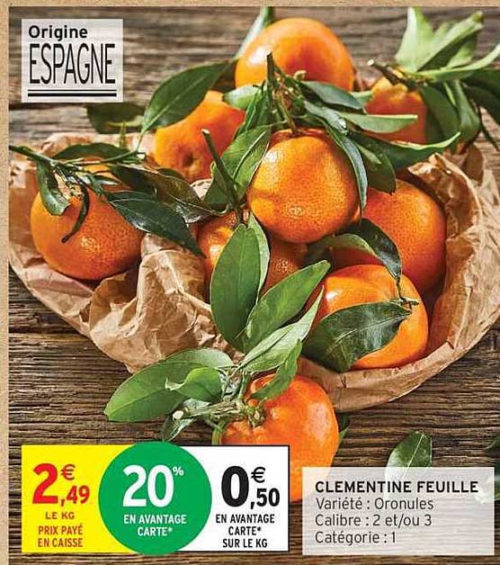 CLEMENTINE FEUILLE