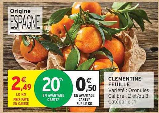 CLEMENTINE FEUILLE