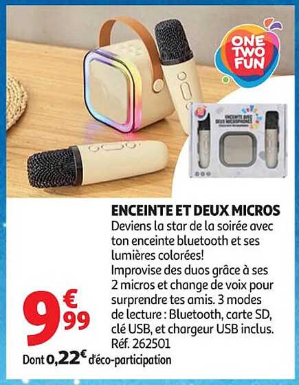 ENCEINTE ET DEUX MICROS