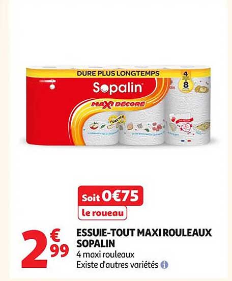 ESSUIE-TOUT MAXI ROULEAUX SOPALIN