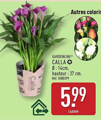 GARDENLINE® CALLA