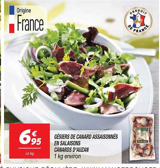 GÉSIER DE CANARD ASSAISONNÉS EN SALAISONS