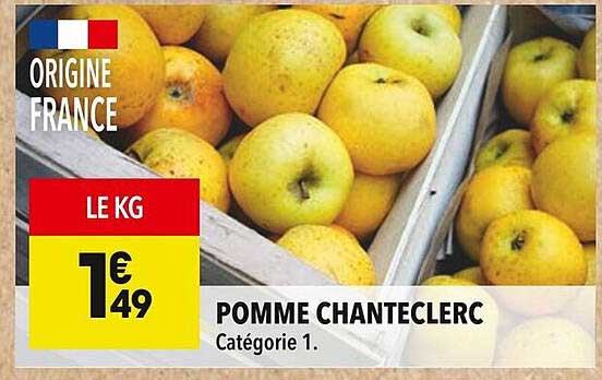 POMME CHANTECLERC