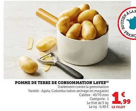 POMME DE TERRE DE CONSOMMATION LAVÉE