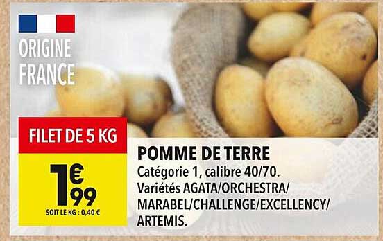 POMME DE TERRE