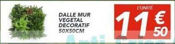 DALLE MUR VEGETAL DECORATIF 50X50CM